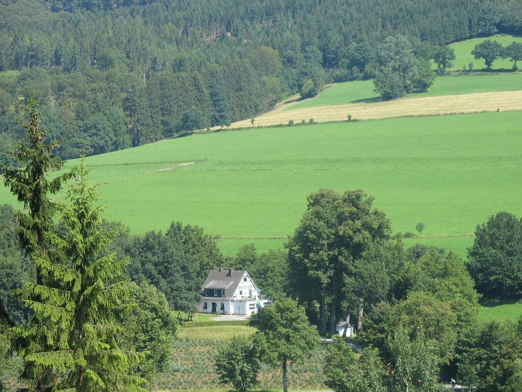 Pension Haus Am Walde ชมาลเลนแบร์ก ภายนอก รูปภาพ