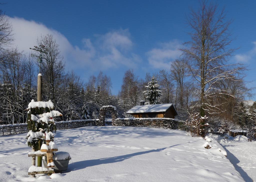Pension Haus Am Walde ชมาลเลนแบร์ก ภายนอก รูปภาพ