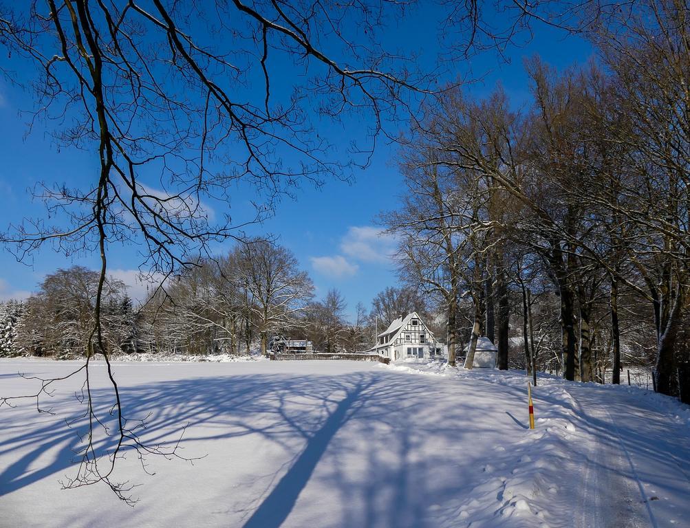 Pension Haus Am Walde ชมาลเลนแบร์ก ภายนอก รูปภาพ