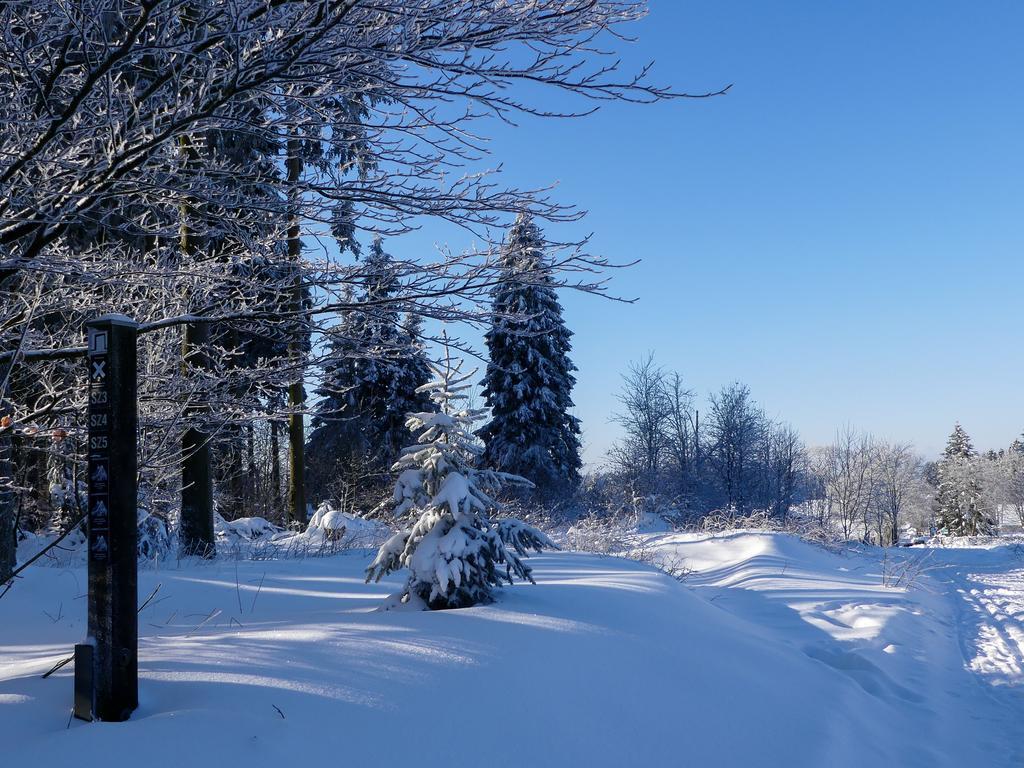 Pension Haus Am Walde ชมาลเลนแบร์ก ภายนอก รูปภาพ