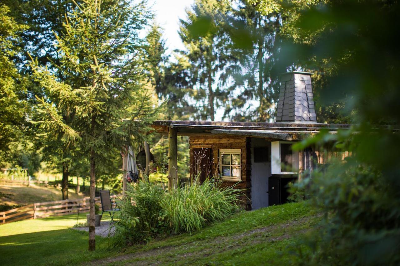 Pension Haus Am Walde ชมาลเลนแบร์ก ภายนอก รูปภาพ